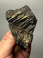 Load image into Gallery viewer, Botryoidal Stalactite Goethite (Iron Oxyhydroxide) Display Specimen | Turkey
