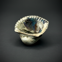 Load image into Gallery viewer, Bivalve (Pelecypoda) Fossil Sea Shell with Chalcopyrite | Mineralized Fossil Specimen | Indonesia
