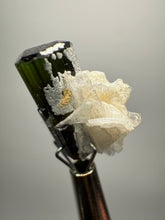 Load image into Gallery viewer, Dark Green Stak Nala Tourmaline and Cleavelandite – Haramosh Mountains, Pakistan | Thumbnail Specimen
