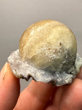 Load image into Gallery viewer, Rare Botryoidal Yellow Fluorite on Quartz Matrix  Collector Mineral Specimen – Maharashtra, India
