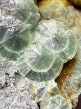 Load image into Gallery viewer, High-Grade Green Wavellite Collectors Specimen - Radiating Botryoidal Crystal Formation - Arkansas, USA
