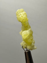 Load image into Gallery viewer, Vibrant Yellow Brucite Thumbnail Mineral Specimen | Collector Crystal from Killa Saifullah District in Balochistan Province, Pakistan
