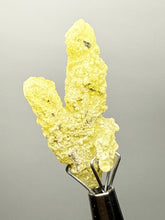 Load image into Gallery viewer, Vibrant Yellow Brucite Thumbnail Mineral Specimen | Collector Crystal from Killa Saifullah District in Balochistan Province, Pakistan
