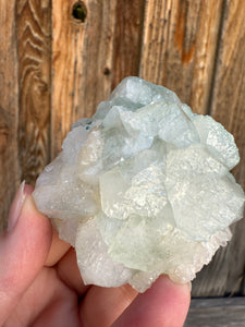 Mint Green Apophyllite Flower Stalactite • Maharashtra, India