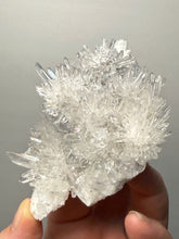 Load image into Gallery viewer, High-Grade Chrysanthemum Quartz (Needle Quartz) Spray Cluster | Jiangxi, China
