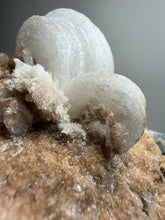 Load image into Gallery viewer, Moroccan Ram’s Horn Selenite (Gypsum) Crystal Display Specimen
