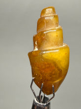 Load image into Gallery viewer, Agatized Gastropod Fossil Specimen | Morocco
