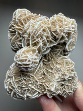 Load image into Gallery viewer, Desert Rose Selenite (Gypsum) — Mineral Display Specimen | Mexico
