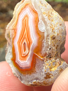 High-Grade Parallax Banded Laguna Agate – Bright Orange, Red, & White Banding from Mexico