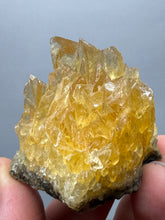 Load image into Gallery viewer, Golden Glow Calcite Cluster | Maharashtra, India
