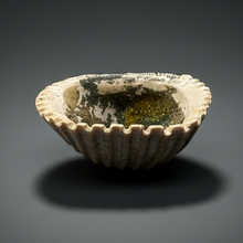 Load image into Gallery viewer, Bivalve (Pelecypoda) Fossil Sea Shell with Chalcopyrite | Mineralized Fossil Specimen | Indonesia

