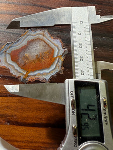 Rare Moroccan Orange Plume Agate Collected by Indigenous Nomads | Ancient Beauty from the Sahara