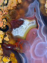 Load image into Gallery viewer, MUSEUM Turkish Agate with Intriguing Inclusions – Great Sticks, Banding and Eyes - Turkey
