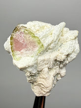 Load image into Gallery viewer, Watermelon Tourmaline on Matrix – Collector Mineral Specimen from Pakistan
