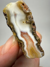 Load image into Gallery viewer, Polished Malawi Agate Half – African Banded Agate Display Specimen
