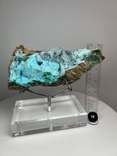 Load image into Gallery viewer, Chrysocolla Druzy Botryoidal Stalactites Pseudomorph after Malachite on Matrix from Congo • Fine Mineral Collector’s Showpiece
