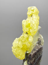 Load image into Gallery viewer, Vibrant Yellow Brucite Thumbnail Mineral Specimen | Collector Crystal from Killa Saifullah District in Balochistan Province, Pakistan
