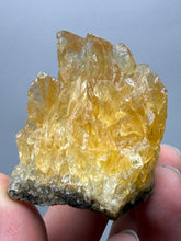 Load image into Gallery viewer, Golden Glow Calcite Cluster | Maharashtra, India
