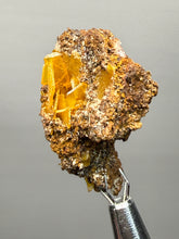 Load image into Gallery viewer, High-Grade Orange Wulfenite Collector Display Specimen | La Morita Mine, Chihuahua, Mexico
