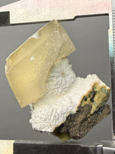 Load image into Gallery viewer, Rare Druzy Golden “Diamond” Calcite on Zeolite Matrix — Maharashtra, India | Collector Cabinet Specimen
