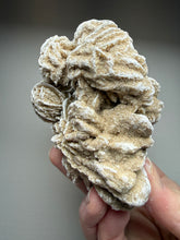 Load image into Gallery viewer, Desert Rose Selenite (Gypsum) — Mineral Display Specimen | Mexico
