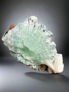 Light Mint Green Radial (Disco Ball) Apophyllite + Stilbite • Maharashtra, India