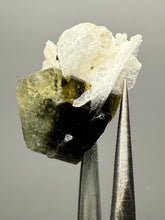 Load image into Gallery viewer, Dark Green Cap Stak Nala Tourmaline and Cleavelandite – Haramosh Mountains, Pakistan | Thumbnail Specimen
