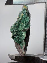Load image into Gallery viewer, Brochantite Collector Mineral Specimen – Vivid Green Copper Crystals from Morocco
