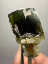 Load image into Gallery viewer, Dark Green Cap Stak Nala Tourmaline and Cleavelandite – Haramosh Mountains, Pakistan | Thumbnail Specimen

