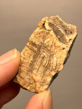 Load image into Gallery viewer, Premium Sumatra Agate (Banded Chalcedony) Display Specimen | Indonesia
