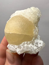 Load image into Gallery viewer, Rare Botryoidal Yellow Fluorite on Quartz Matrix  Collector Mineral Specimen – Maharashtra, India
