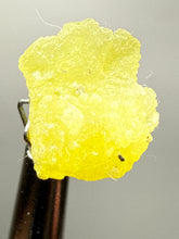 Load image into Gallery viewer, Vibrant Yellow Brucite Thumbnail Mineral Specimen | Collector Crystal from Killa Saifullah District in Balochistan Province, Pakistan
