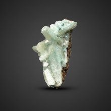 Load image into Gallery viewer, Luminous Mint Apophyllite with Glittering Druzy Sugar Quartz – India
