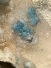 Load image into Gallery viewer, Blue-Green Chrysocolla in Botryoidal Chalcedony Cabinet Specimen | Indonesia
