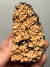 Load image into Gallery viewer, Rose Botryoidal Chalcedony Agate from Morocco – Druzy Cabinet Specimen
