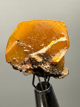 Load image into Gallery viewer, High-Grade Orange Wulfenite Collector Display Specimen | La Morita Mine, Chihuahua, Mexico
