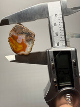 Load image into Gallery viewer, Lot of 4 Small Malawi Agate Halves – Polished Rare Colorful Collector Specimens
