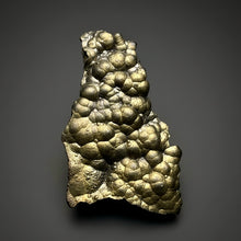 Load image into Gallery viewer, Botryoidal Stalactite Goethite (Iron Oxyhydroxide) Display Specimen | Turkey
