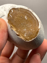 Load image into Gallery viewer, Chichaoua Menalite “Fairy Stone” Concretion | Natural Collector Display Specimen | Morocco
