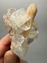 Load image into Gallery viewer, High-Grade Apophyllite on Pink Stilbite Zeolite | Indian Collector Mineral Specimen
