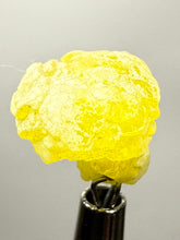 Load image into Gallery viewer, Vibrant Yellow Brucite Thumbnail Mineral Specimen | Collector Crystal from Killa Saifullah District in Balochistan Province, Pakistan
