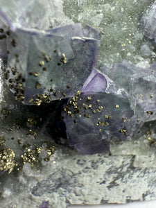 Bi-Color Purple & Green Fluorite + Druzy Golden Pyrite on Druzy Silver Chalcedony • China