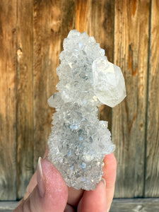 Clear Gem Apophyllite Encrusted Stalactite • Maharashtra, India