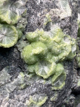 Load image into Gallery viewer, High-Grade Green Wavellite Collectors Specimen - Radiating Botryoidal Crystal Formation - Arkansas, USA
