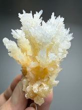 Load image into Gallery viewer, High-Grade Coral Aragonite Crystal Specimen – Wenshan Mine, Yunnan, China
