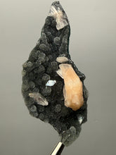 Load image into Gallery viewer, Pink Stilbite Druzy on Botryoidal Black Chalcedony | India | High-Grade Mineral Collector Specimen
