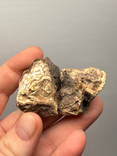 Load image into Gallery viewer, Premium Sumatra Agate Pair (Banded Chalcedony) Display Specimen | Indonesia
