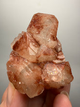 Load image into Gallery viewer, Rare Red Apophyllite Crystal Cluster – High Grade Collector Mineral Specimen | India
