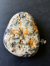 Load image into Gallery viewer, Bumblebee Jasper Agate Palm Stone from West Java, Indonesia • AAA High Grade
