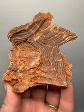 Load image into Gallery viewer, Chalcedony Quartz Rose Agate Collector Mineral Specimen – Morocco
